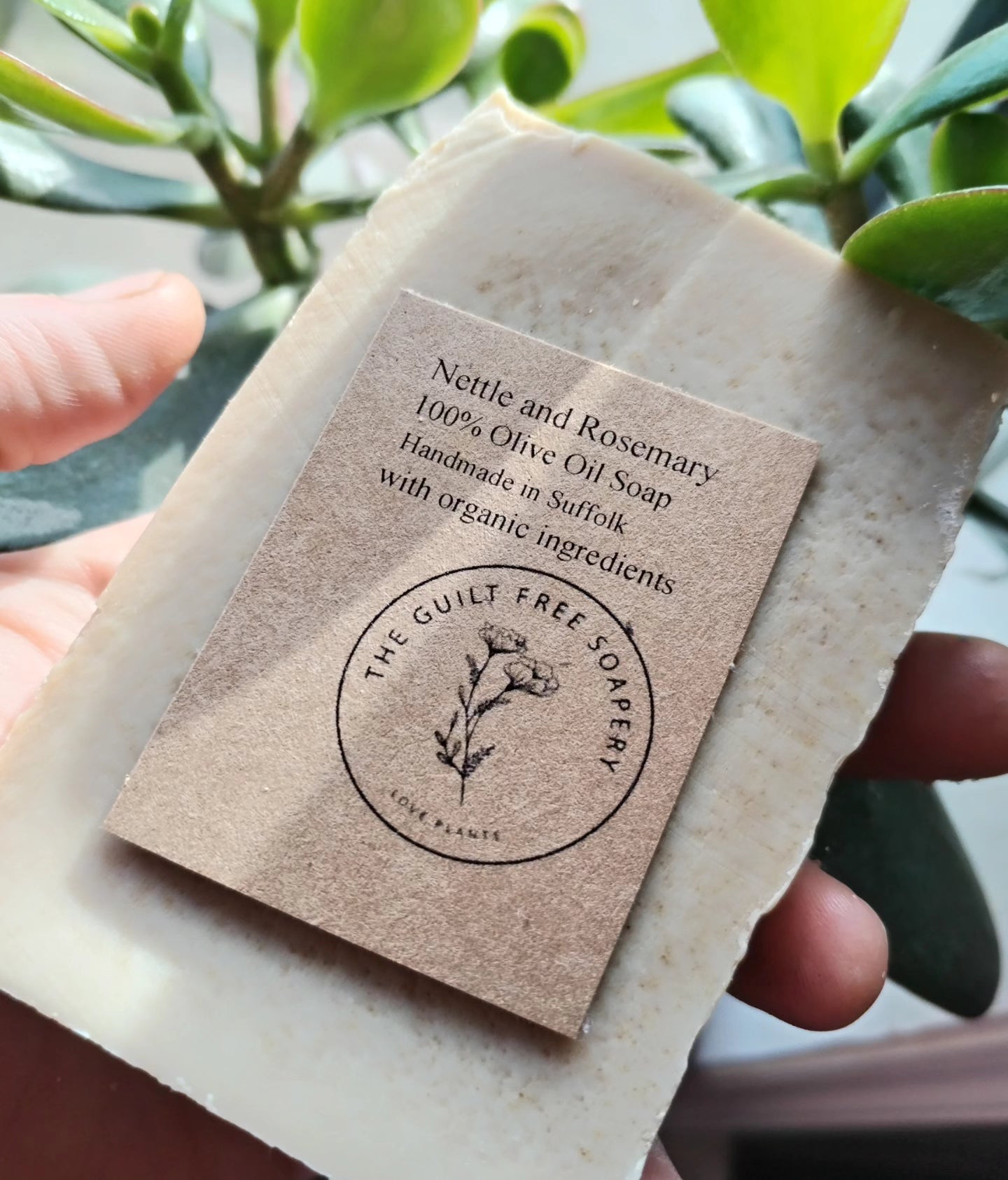 Rosemary Essential oil and Nettle Powder 100% olive oil castile soap. Organic and bird friendly. Handmade Cold process solid bar. Essential oil soap. Sensitive skin bar.