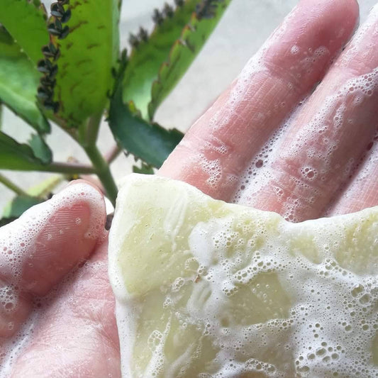 Cucumber and aloe vera solid soap natural shampoo unscented Organic, vegan, palm oil free, plastic free, cold process. Eco Handmade One bar.