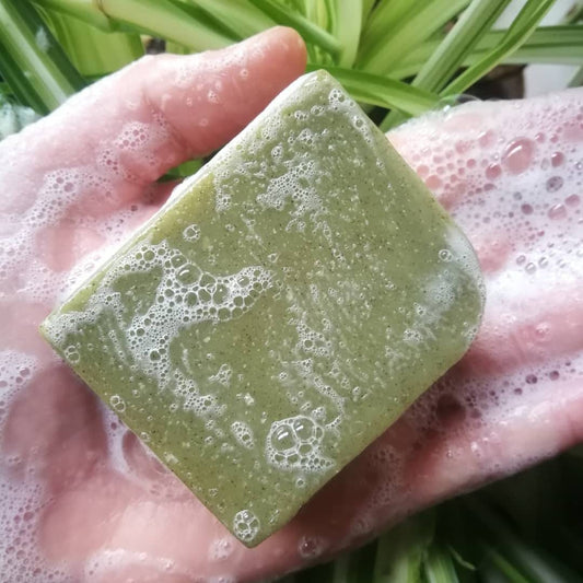 Tea Tree & Nettle Leaf handmade essential oil soap. Natural shampoo. Organic, cold process solid soap bar. Plastic and palm oil free, vegan