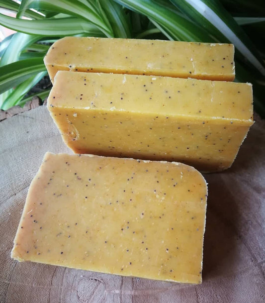 Lemongrass, turmeric and poppy seeds handmade solid soap. Natural shampoo. Cold processed, organic and vegan natural soap bar. Zero Waste.