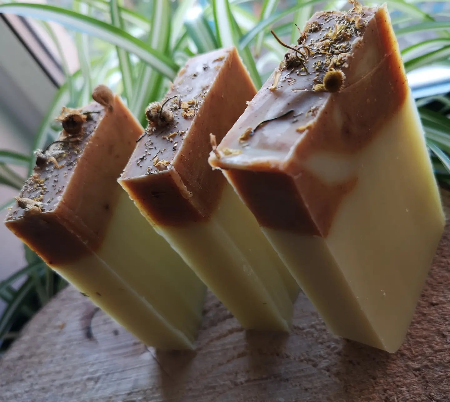 Frankincense, sweet orange + grapefruit cold processed natural soap. Handmade Organic Vegan Palm oil + plastic free Cold process luxury bar