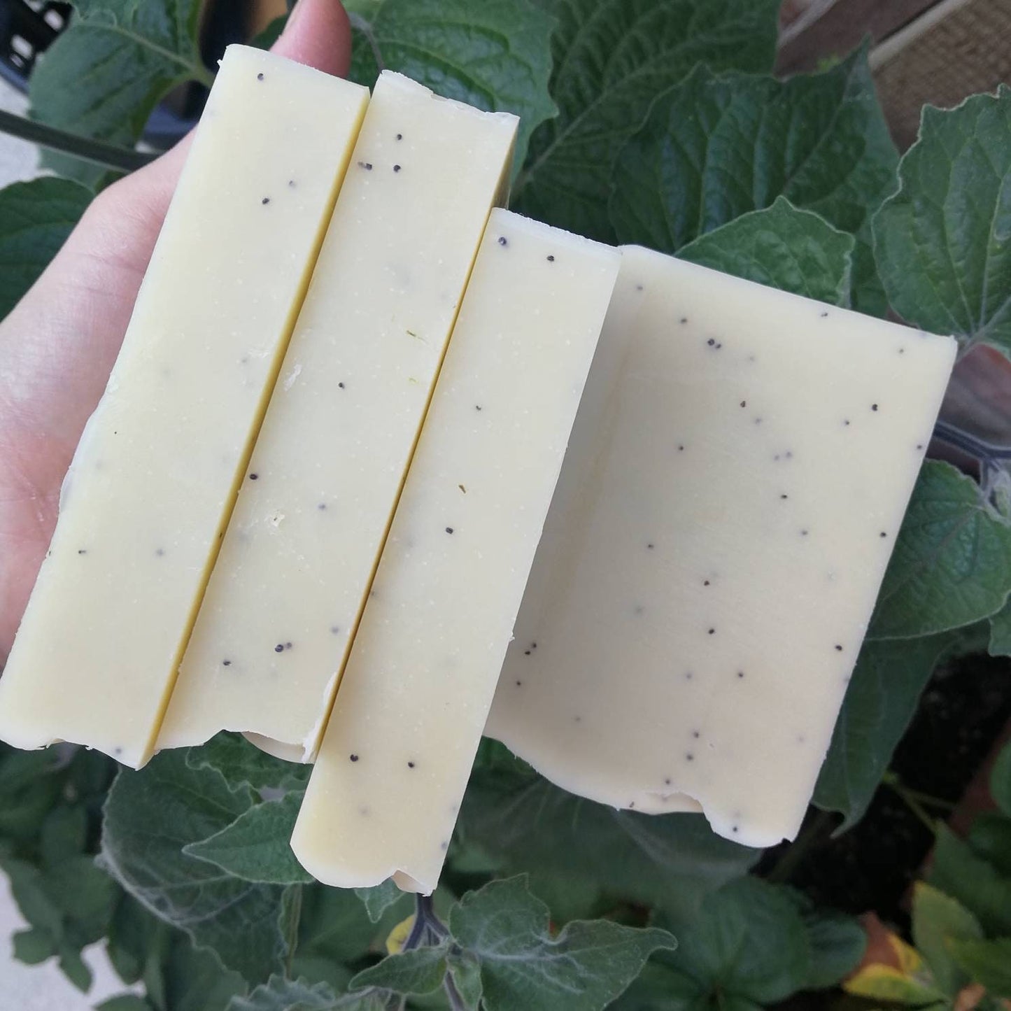 Sweet Orange & Patchouli Essential Oil solid soap / natural shampoo. Organic, vegan, plastic and palm oil free. Cold processed soap. Artisan